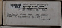 Image Associated With the Occurence